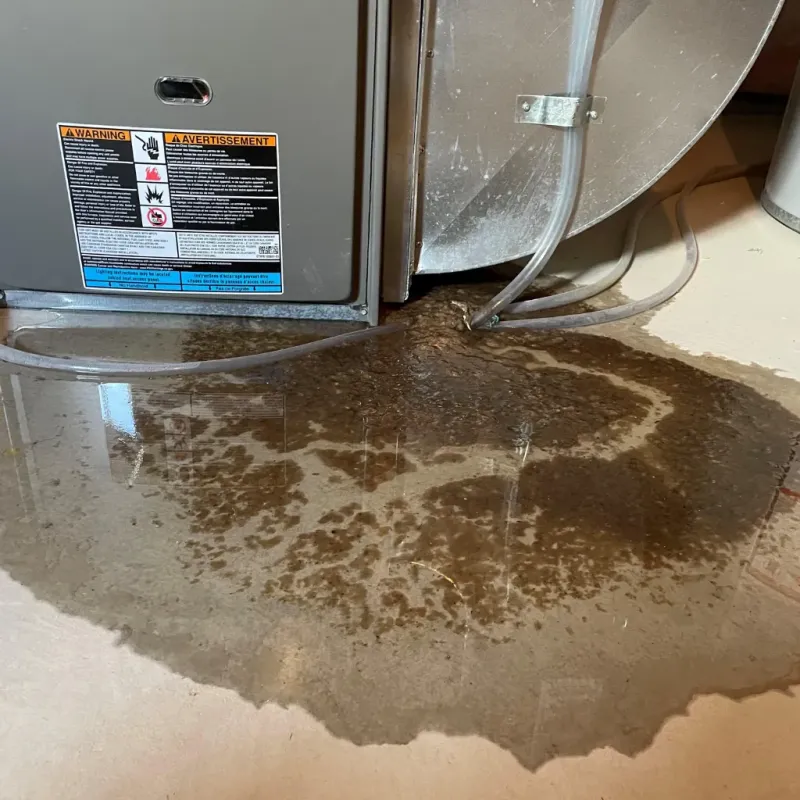 Appliance Leak Cleanup in Indiantown, FL